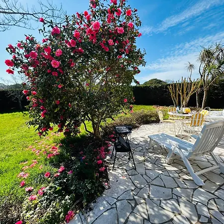 Nausicaa, Maison Avec Joli Jardin Clos Arbore Gæstehus